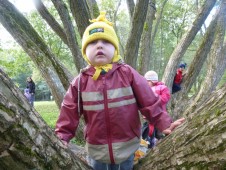 Už lezou po stromech všichni